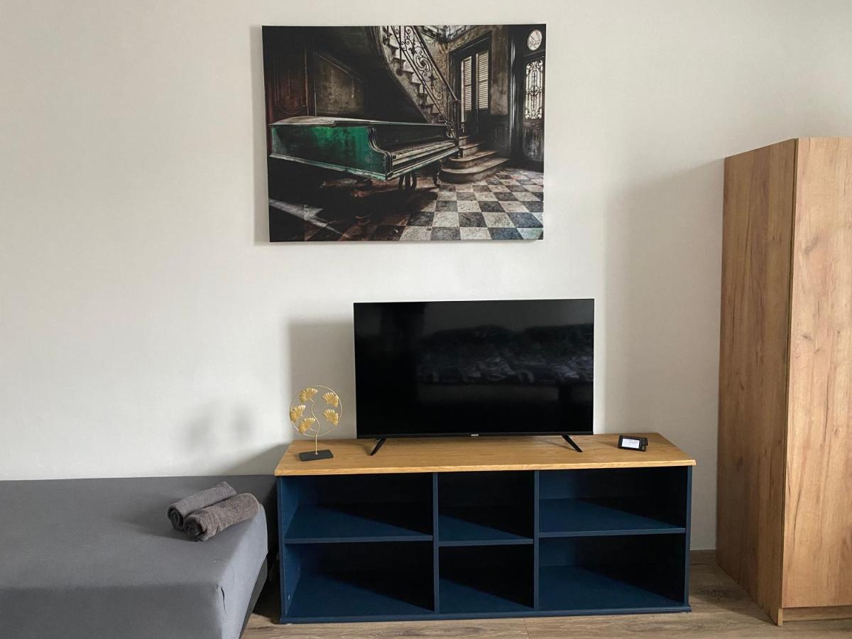 Cerna Ruze - Apartman 4 플젠 외부 사진
